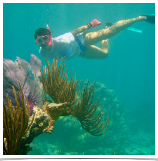Exploring reefs of Culebra and Isla de Culebrita, Spanish VI.